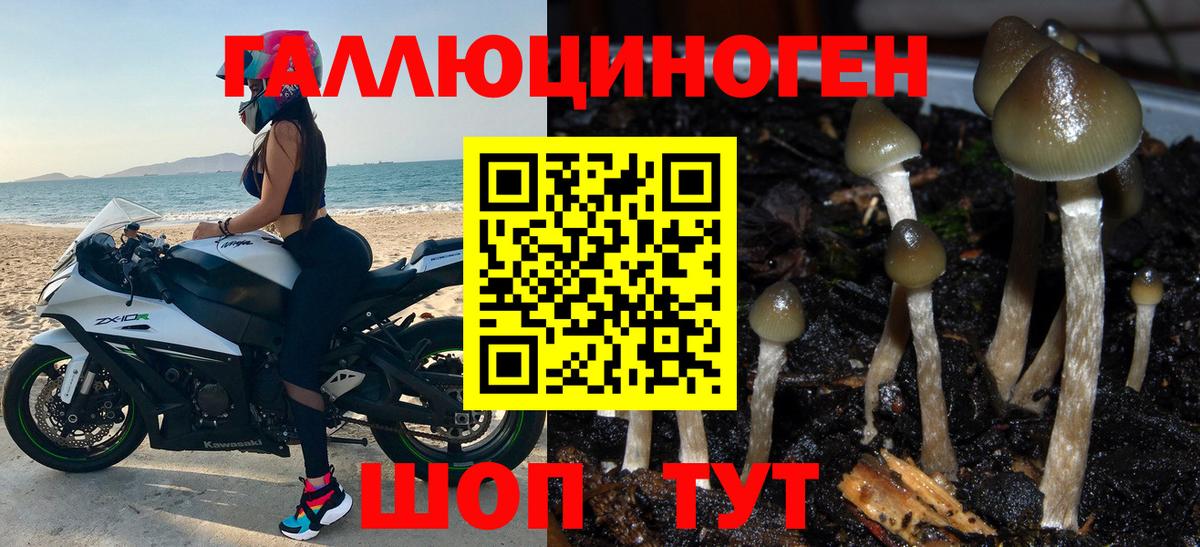 Ейск  Галлюциногенные грибы Psilocybe  Вход с VPN 