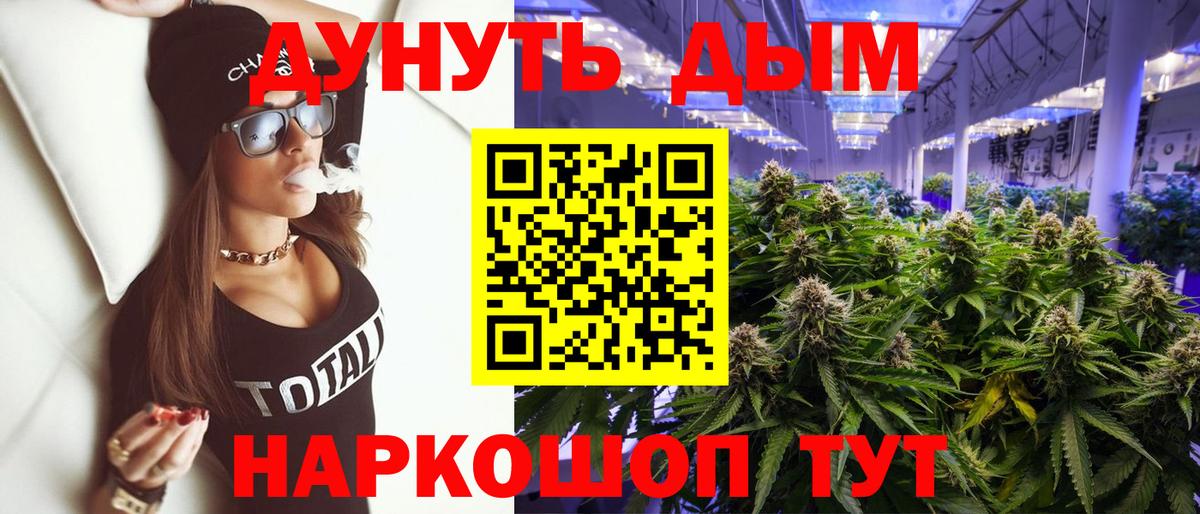 Бошки Шишки семена Ейск